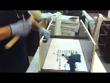 Cowry Cabinet Assembly：Wall Cabinet